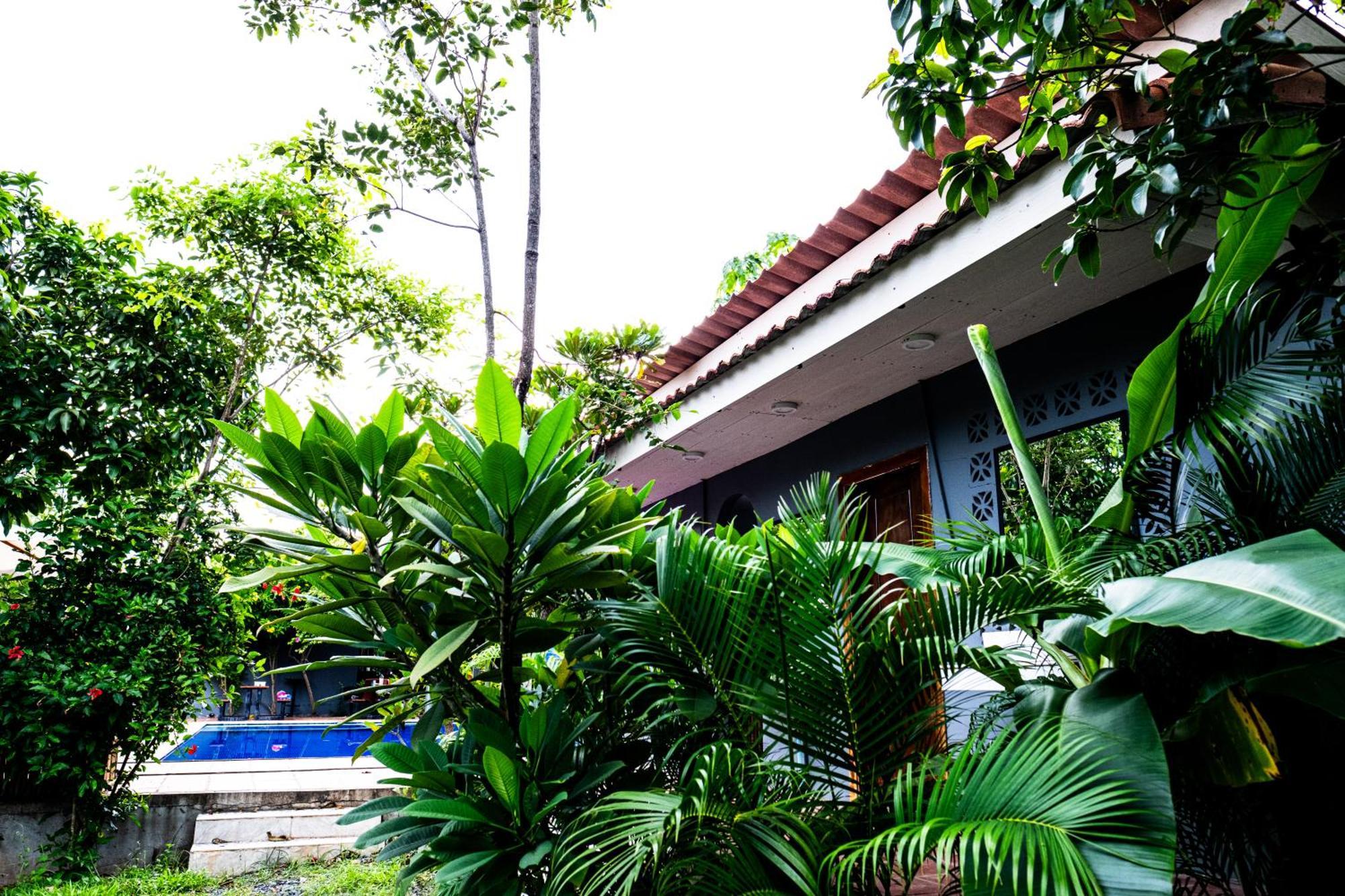 Teejays Bed And Breakfast Kampot Ngoại thất bức ảnh